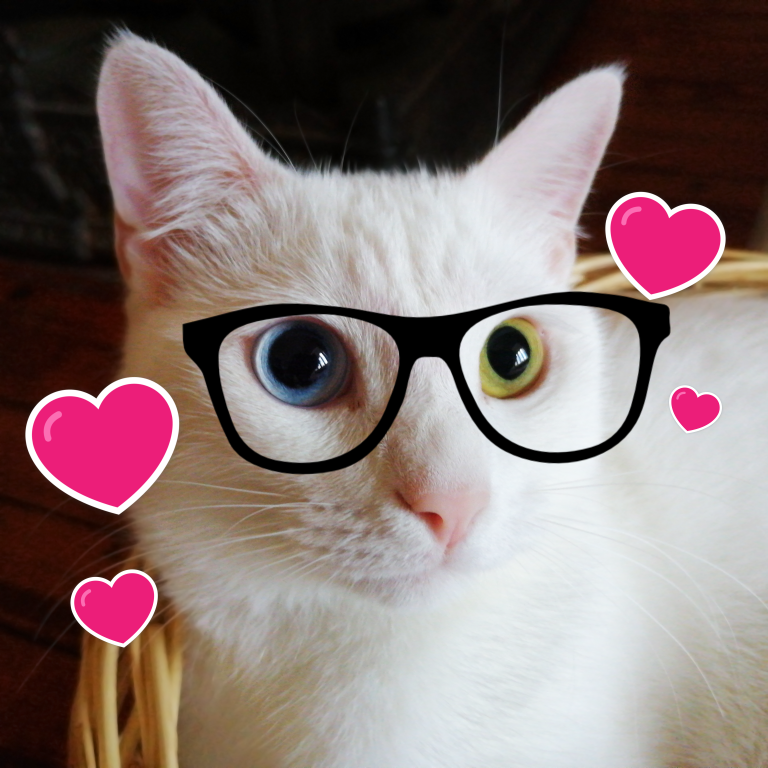 a white cat wearing glasses with hearts around it